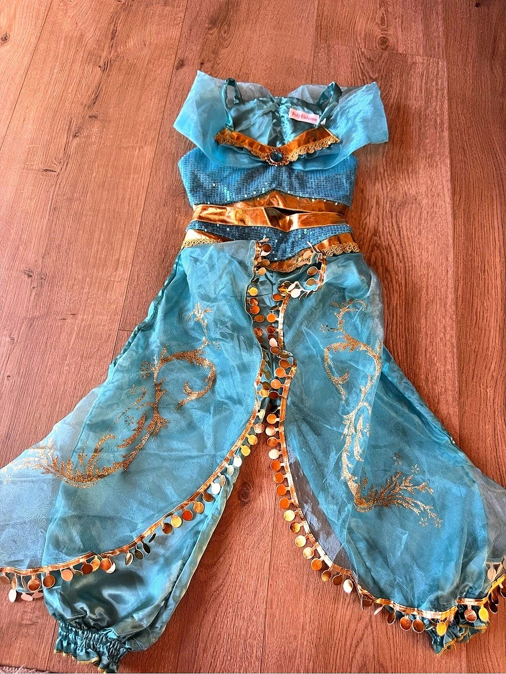 Girls Princess jasmine costume Like New